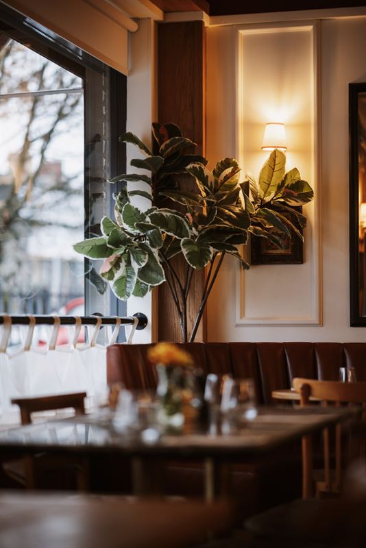A corner of the Nucci dining room: leather banquette, a rubber plant and a wall lamp glowing beside the window